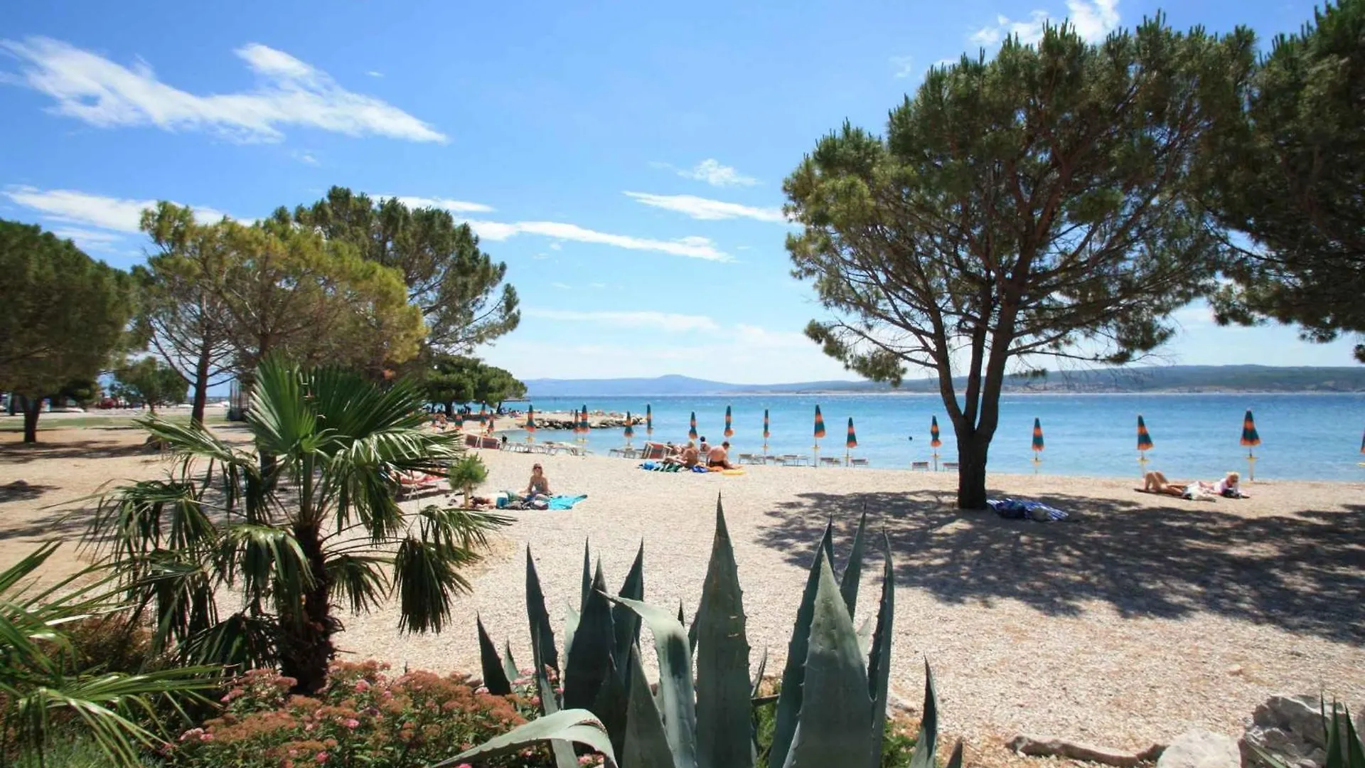 Apartment In Crikvenica 41684
